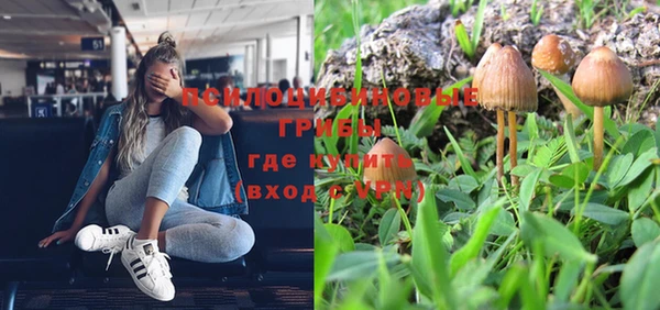 гидропоника Беломорск