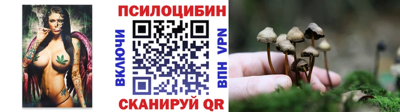 Галлюциногенные грибы GOLDEN TEACHER Петрозаводск